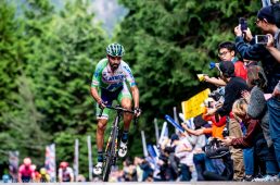 ジャパンカップ2019