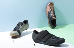 フィジーク2019秋冬