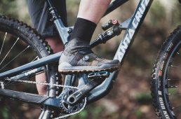 フィジーク・テラ