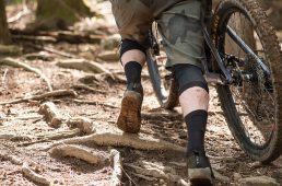 フィジーク・テラ