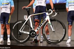 ジャパンカップデルコマルセイユ