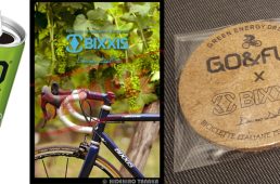 ビクシズ・ゴーアンドファン