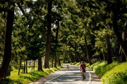 旧街道サイクリングの旅vol.7