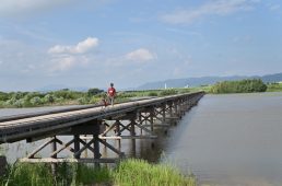 大阪広域サイクルルート連携事業走行会