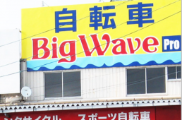 ビッグウェーブプロ