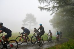 グラインデューロ