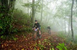 グラインデューロ