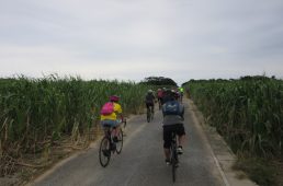 シュガーライド久米島2018