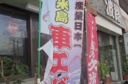 シュガーライド久米島2018