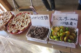 シュガーライド久米島2018