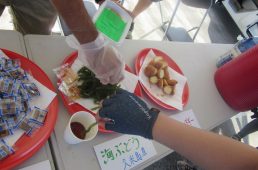 シュガーライド久米島2018