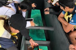 シュガーライド久米島2018