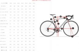 安井トレック・マドン3