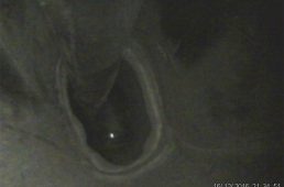 安井トレック・マドン4