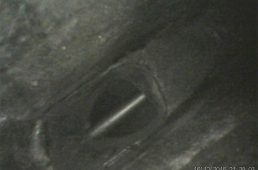 安井トレック・マドン4