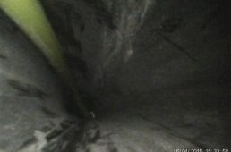 安井ルック・795ライト5