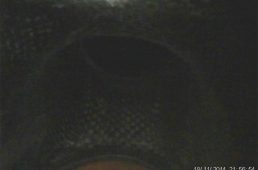 安井ヨネックス・カーボネックス4