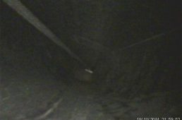 安井ヨネックス・カーボネックス4