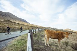 ライドイン阿蘇