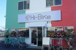 Hi-Bike