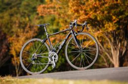 安井カーボネックス5