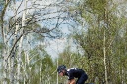 安井ドグマF8-12