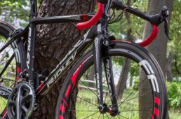 安井フェニックス5