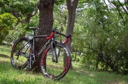 安井フェニックス5