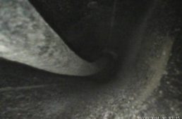 安井フェニックス3