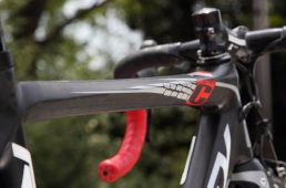 安井フェニックス2