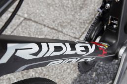 安井フェニックス2