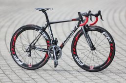 安井フェニックス1