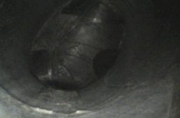 安井フォトンSL6