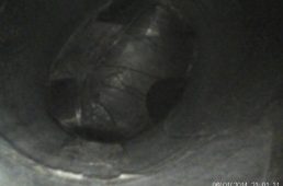 安井フォトンSL6