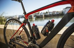 エリート・ヴィコ