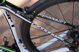 安井シナプスハイモッド2-8