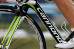 安井シナプスハイモッド2-7