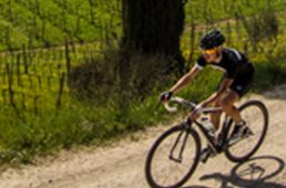 安井シナプスハイモッド2-6