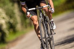 安井シナプスハイモッド2-6