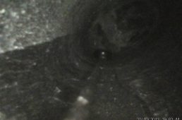 安井シナプスハイモッド2-5