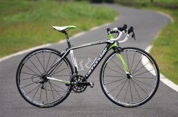 安井シナプスハイモッド2-5