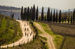 安井シナプスハイモッド2-2