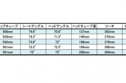安井シナプスハイモッド2-2