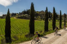 安井シナプスハイモッド2-1