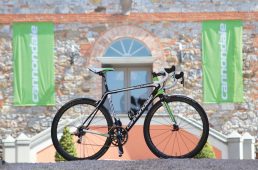 安井シナプスハイモッド2-1