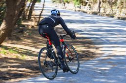 浅野ドグマK10-S