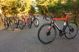 浅野ドグマK10-S