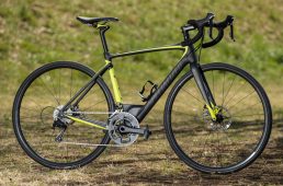 浅野ルーベエリート