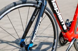 浅野センシウム300