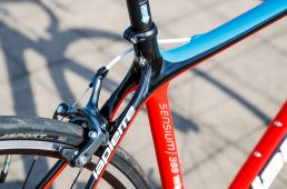 浅野センシウム300